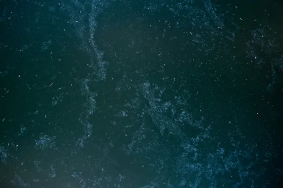 تورنافورس كازينو الدعم